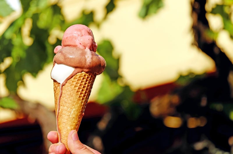 Ice Cream Stick Garden Markers
